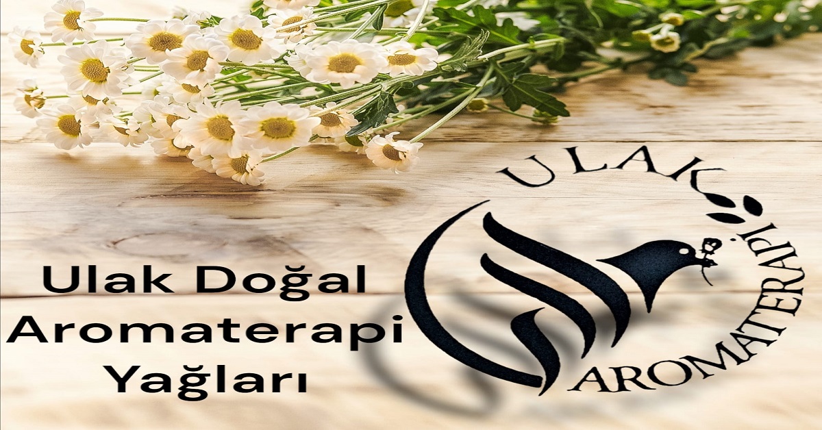 AROMA TERAPİ YAĞLARININ ÖZELLİKLERİ